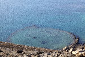 Bartholome, Galapagos Islands 057.jpg